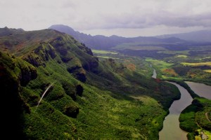 menehune fish stream